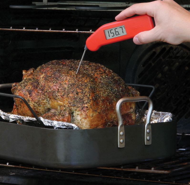 Using Thermoworks Thermapen