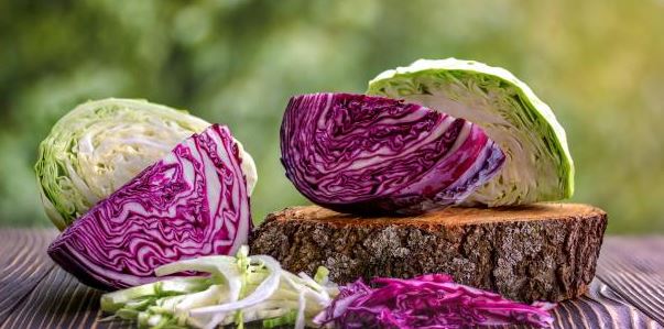 red Cabbage