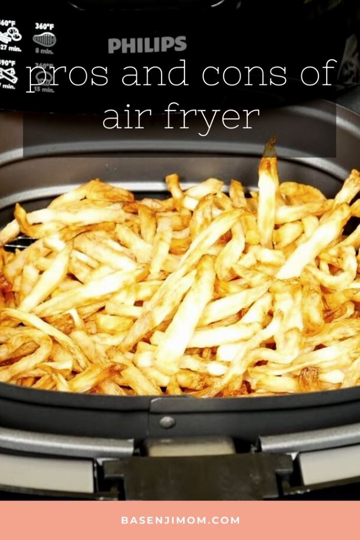 Air Fryer Advantages and Disadvantages – Airfryer Pros and Cons You Should Know About