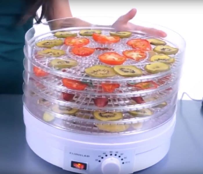 Best Cheap Food Dehydrator