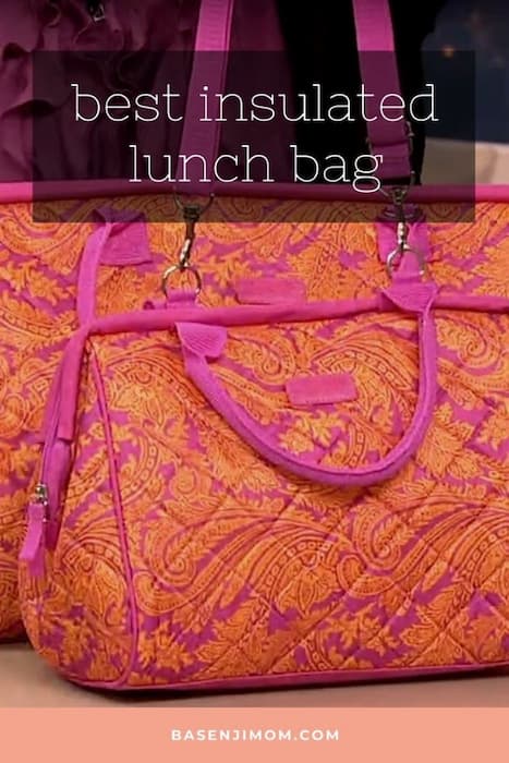 best insulated lunch bag for women