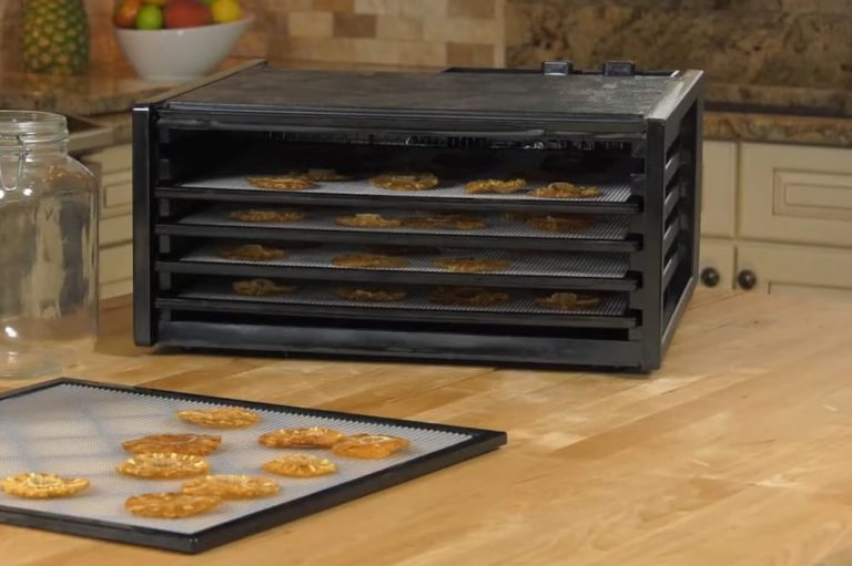 Can You Stop Dehydrating Food and Restart?