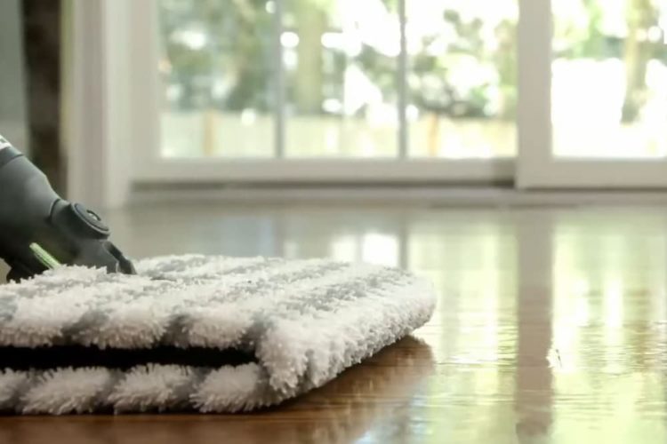 Can You Put a Floor Cleaner in a Steam Mop? Basenjimom's Kitchen